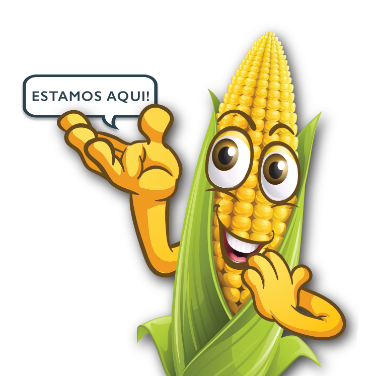 Sabor Mel